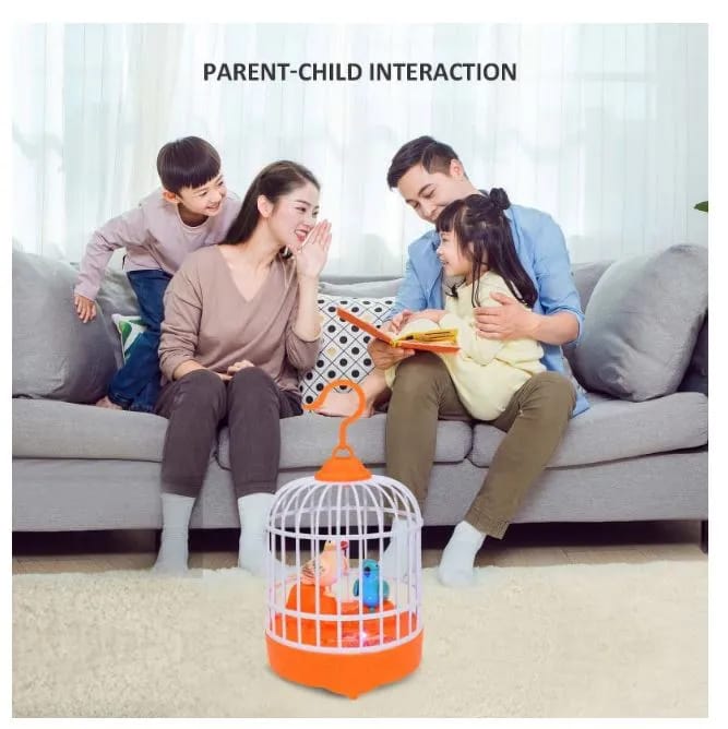 Musical light Bird cage with 2 birds beautiful toy for children's