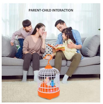 Musical light Bird cage with 2 birds beautiful toy for children's